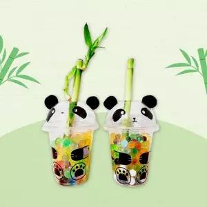 [메이크문구] 개운죽키우기