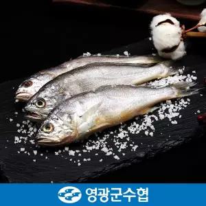[영광군수협][냉동][영광군 수협]법성포 영광 굴비 세트 1.4kg(역걸이/20미)