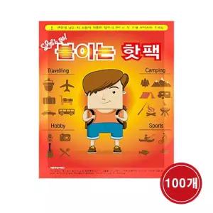 바이온 붙이는 핫팩 (48g X 100매)