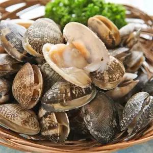 [산지직송] 씨알좋은 남해 바지락 1kg (kg당 60미내외)