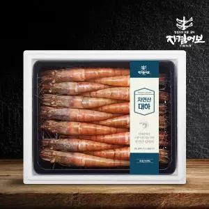 자연산 왕 대하(새우) 선물세트/1kg 9-11미/국산