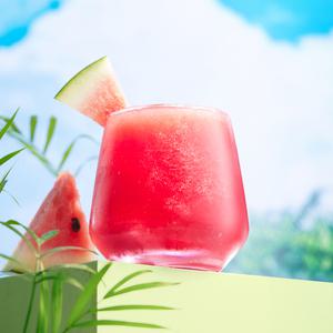 100% 생과채 무설탕 과육 수박주스 1000ml x2팩 외