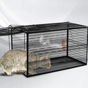 길고양이 함정 포획기 철장 고양이 포획틀 새끼 구조망