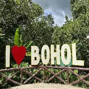 보홀 자유여행 4일 #헤난알로나비치 #디럭스룸 #리조트디너1회 #미팅서비스 #아쿠아웰컴BAG+쿠폰북제공 #선택관광사전예약할인