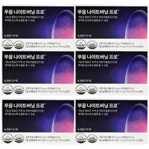 닥터블릿 푸응 나이트버닝프로 잔티젠 수면 다이어트 체지방감소 10캡슐 6개