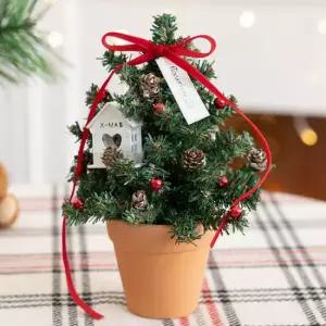 플라워트리 크리스마스 미니트리 화분 완제품 레드벨벳 set 23cm