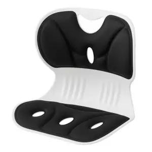 바른 자세 교정 의자 척추 교정 등받이 좌식 의자 블랙 J691