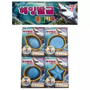 놀이키트 해양생물 바다동물 발굴세트 랜덤 탐사 탐험가 박물관 체험놀이 관찰력