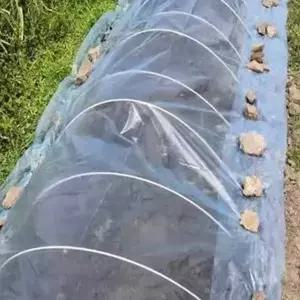 하우스 비닐 원예용 재배용 농자재 농업용 비닐 텃밭 보온 고강도 가정용 내구성 베란다 재단 투명 방수