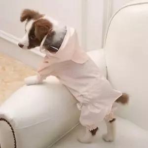 [반려] 반려견 빅사이즈 조절 방수 우비 의류 코디 강아지 방수옷 심플한 강아지옷 비오는날