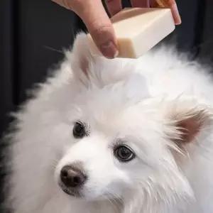 강아지 샴푸바 반려견용 애견 고양이 반려견 비누 세정제 목욕 비누형 친환경 용품 비건 천연 동백 수제