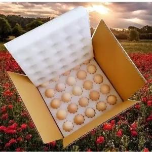 계란 택배 박스 포장재 포장지 완충재 세트