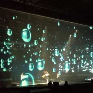 호환  2025 신형 홀로그램 프로젝션 메쉬 스크린 그레이 3D 홀로그램 효과 메쉬 거즈 프로젝터 무대 스크린