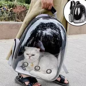 강아지 이동가방 넓은 백팩 반려동물 고양이 이동가방 투명 캐리어 외출