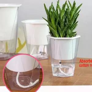 투명 자동 급수 화분 플라스틱 저면관수 투명 자동 급수 화분 실내용 화초 관엽