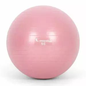 핑크 마사지짐볼 55cm 다이어트짐볼 와일드 마사지볼