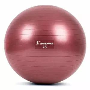 와인 루비 다이어트75cm 마사지짐볼 마사지볼