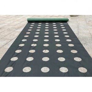 화훼 멀칭비닐 양파 농사용 2구 농업용 유공 6CM 0 마늘 6M 유공부직포