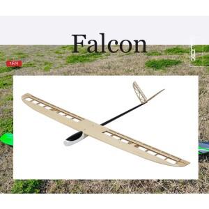 DW 하비 1500m 글라이더 팔콘 발사우드 섬유 RC 항공기 무선 조종 모델 키트 원격 비행기 FG08