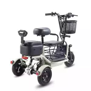 세발 전기자전거 여성 인 충격흡수 삼발이 3인승