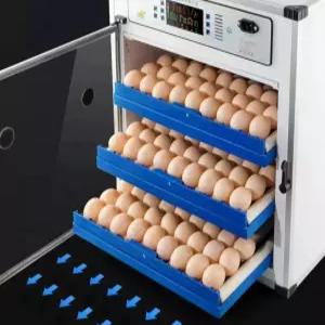 계란 부화기 병아리 인큐베이터 습도 조류 인공 메추리