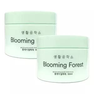 생활공작소 룸케어 탈취제 블루밍 포레스트 150ml 2개 자동차실내옷장 냄새 제거