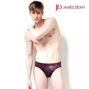 [셀러허브]제임스딘 남성 드래곤스판 삼각팬티 남자브리프1매 (S26189188)