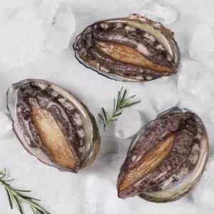 완도 활전복 500g 8-9미