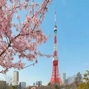 [출발확정] 도쿄 4일 #2일자유 #시내3연박 #내가디자인하는도쿄 #호텔 공항 왕복송영포함