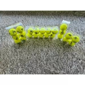 골프공 다이아윙스 M5 장타 비거리 고반발 볼 유광옐로우 10구 투명케이스 포장