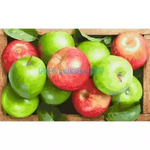 피포페인팅 P3000 행복 돈 복을 부르는 사과 65x40 대형 명화그리기