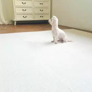 강아지 미끄럼방지 매트 1P 애견 반려견 고양이 펫 거실 복도 논슬립 패드 카페트 러그