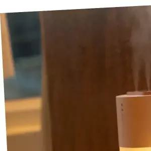 니즈 미니가습기 손도리 듀얼 차량용가습기 에어메이트 차량용 가습기