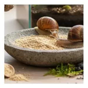 은공이네 달팽이 먹이 달팽이키우기