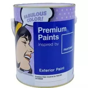 무광 외부 페인트 외벽 옥상 베란다 외부 수성 페인트 친환경 곰팡이 방지