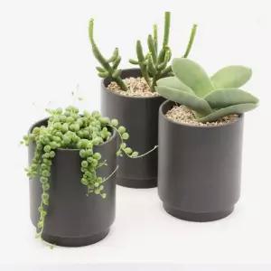 [서이안전] 식물 키우기 관리 다육식물 다크블랙 도자기 심플 인테리어 분갈이 화분 재배 (단품)