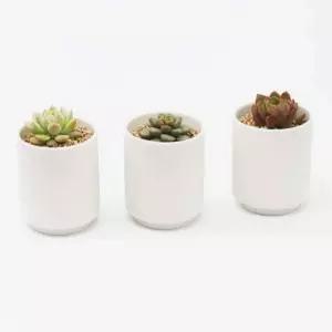 [서이안전] 식물 키우기 도자기 세라믹 다육이 관리 인테리어 재배 백토 반려식물 화분 (단품)