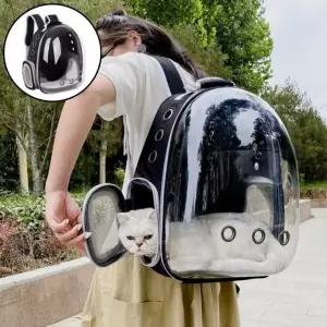 투명 고양이 이동가방 백팩 강아지 반려동물 캐리어