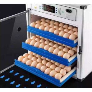 병아리 인큐베이터 조류 거북 부화기 온도 달걀 68개 크고작은 병아리부화기