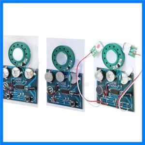 1Pcs 듀얼 버튼 녹음 칩 인사말 카드 액세서리에 대 한 60s 오디오 음성 녹음 재생 모듈