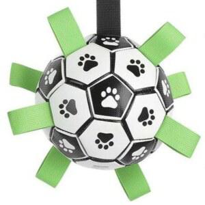 반려동물 반려견 고양이 급식기 강아지 물병 급여기 사료 자동 카메라 자동사료급여기 오토