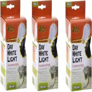 (3팩) 질라 파충류 테라리움 열 램프 백열 전구 데이 화이트 150W