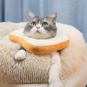 [반려] 고양이 강아지 넥카라 강아지깔대기 강아지목쿠션