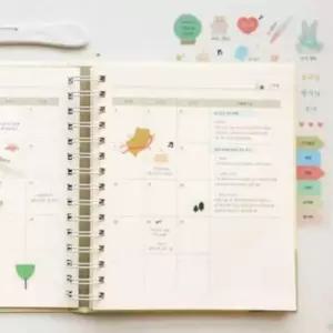 [문구/오피스] 임신다이어리 초음파앨범 초음파사진보관 성장앨범