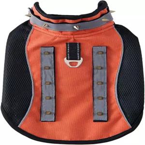 손잡이가 달린 작은 개 조끼 - 물림 방지 및 포식자 보호 전술 하네스 D-링 통기성 안감 오렌지 S로 조절
