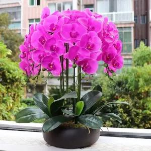 서양란 조화화분 카페 개업 인테리어 장식품 인조꽃 행운 취임 축하소품