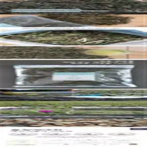 예진식품 인진쑥 건초 250g