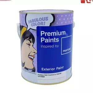 무광 페인트 친환경 리모델링 벽체 외부용 수성 페인트 가정용 도료 건물 마감 마감재 보수 용품 옥상 도장