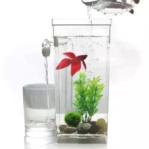 어항 금붕어 구피 자동 청소 해수어 키우기 관리