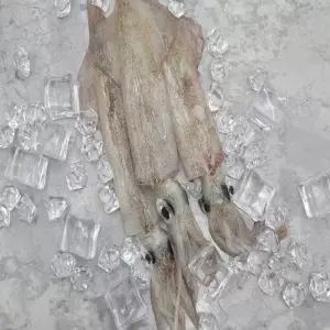 급냉한치 냉동실쟁임 튀김요리용 숙회요리용 동해한치 급속냉동 탱글탱글 급냉한치